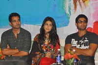 Naa Istam Audio Success Meet